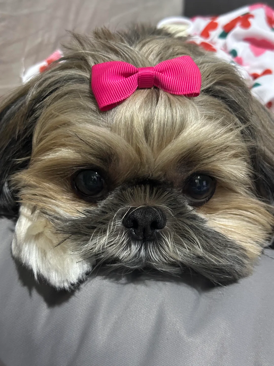 Our Home Environment